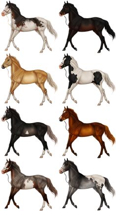 six horses are shown in different colors and sizes