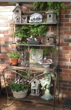 a shelf filled with lots of plants next to a brick wall and potted plants