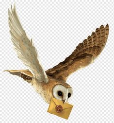 an owl flying through the air with a letter in its beak, hd png