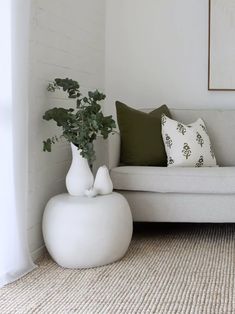 a white couch sitting next to a plant in a living room on top of a rug