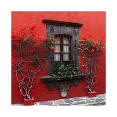 an old window with red flowers and vines on the outside, next to a stone planter