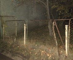 a fence that is next to a tree and some leaves on the ground in front of it