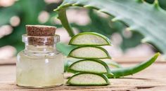 Aloe Vera Photography, Aloe Vera Indoor, Gel Photography, Growing Aloe Vera, Aloe Vera Mask, Aloe Vera Facial, Aloe Vera Drink, Fresh Aloe Vera, Aloe Vera Face Mask