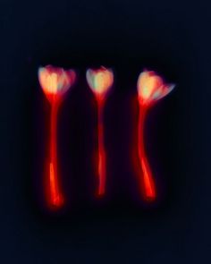 three red utensils in the dark with light coming from them to show their colors