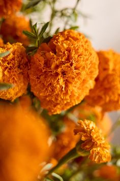 an orange flower with green leaves on it