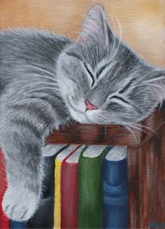 a painting of a grey cat sleeping on top of a bookshelf with its eyes closed