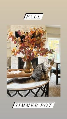 a cat sitting on top of a table next to a vase filled with flowers