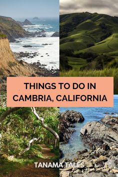 things to do in cambria, california with text overlaying the top and bottom