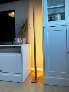 a living room scene with focus on the floor and cabinet door, which has a potted plant next to it