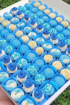 a box filled with blue and white cupcakes on top of a lush green field