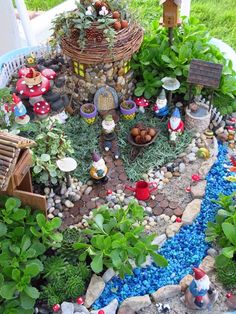 a fairy garden with lots of plants and gnome figurines