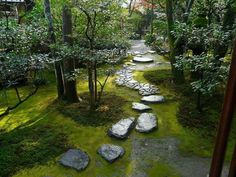 a garden with stepping stones and green grass in the center, surrounded by trees on both sides