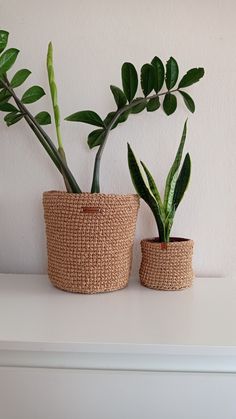 two potted plants sitting on top of a white shelf