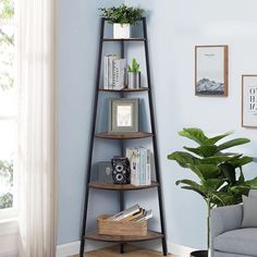 a corner shelf in the corner of a living room