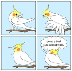 a comic strip with two birds sitting on top of each other, one is talking to the