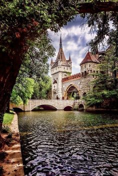 an old castle sitting on top of a river next to a lush green forest filled with trees