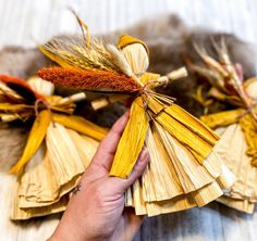 a hand is holding some corn stalks with other things in the background and on top of it