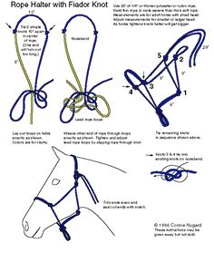 instructions for how to tie a horse's bridle and halter with flat rope