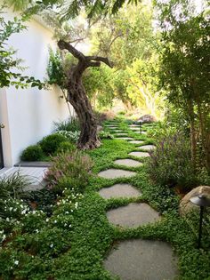 a stone path in the middle of a garden