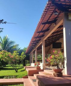 the outside of a house with plants and flowers