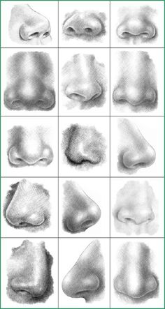 different types of feet and their shapes are shown in this drawing lesson, which shows how to