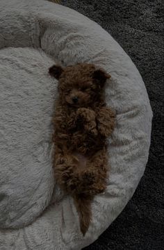 a brown teddy bear laying on top of a white pillow in a dog bed that is made to look like it's sleeping