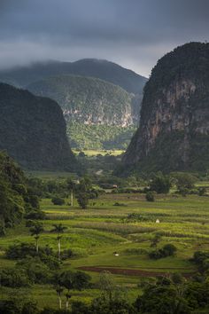 the mountains are covered in lush green grass