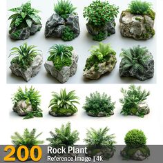 there are many rocks and plants in this set