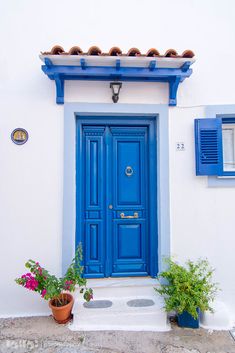 a blue door with two potted plants in front of it