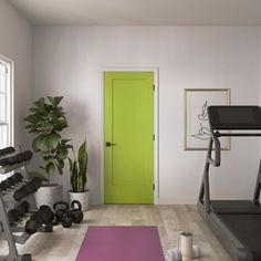 A brat green interior door in a home gym with white walls, free weights and a purple yoga mat In Home Gym, Masonite Doors, Masonite Interior Doors, Transitional Doors, Peaceful Space, Hollow Core Doors, Black Front Doors, Barn Door Kit, Solid Core