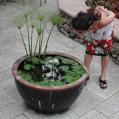 a woman standing in front of a potted plant with water and plants growing out of it