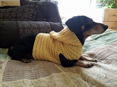 a dog wearing a sweater laying on top of a bed