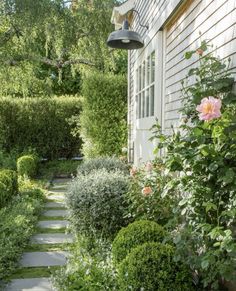 a garden with lots of bushes and flowers