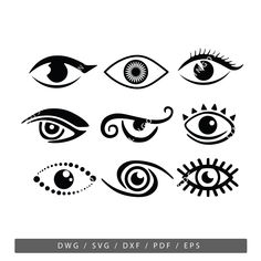 various types of eyes with different shapes and sizes