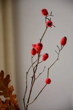 a branch with some red flowers in it