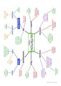 an image of a mind map with many different things in the middle and one on top