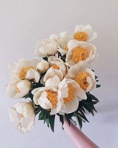 a bouquet of white and yellow flowers in someone's hand on a white background