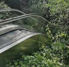 an escalator in the middle of some trees and bushes with leaves on it