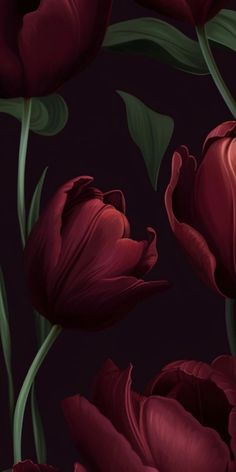 red flowers on a dark background with green leaves