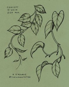 a drawing of leaves on a green background