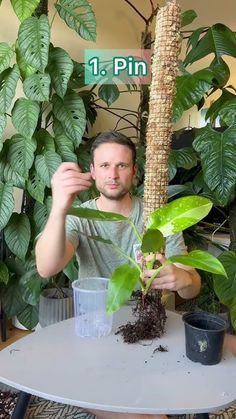 a man holding up a plant in front of a sign that says, 1 pin