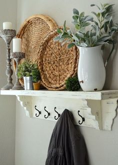 a shelf that has some plants on it