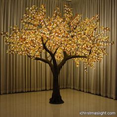 a lighted tree in front of a curtain