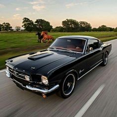 a black mustang driving down the road with a horse in the background