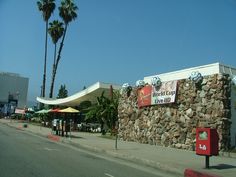 a stone wall next to a street with palm trees