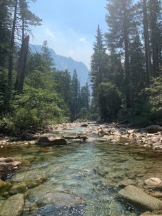 a river running through a forest filled with lots of rocks and trees in the background