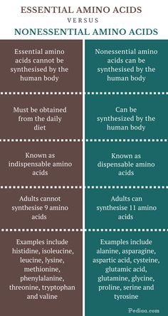 the differences between non - essential and non - natural vitamins in an animal's body