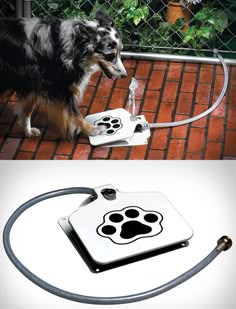 a dog is drinking water out of a hose attached to a device with paw prints on it