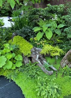 a garden filled with lots of different types of plants and trees on top of green grass