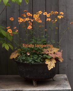 a planter filled with lots of flowers sitting on top of a wooden table next to a fence